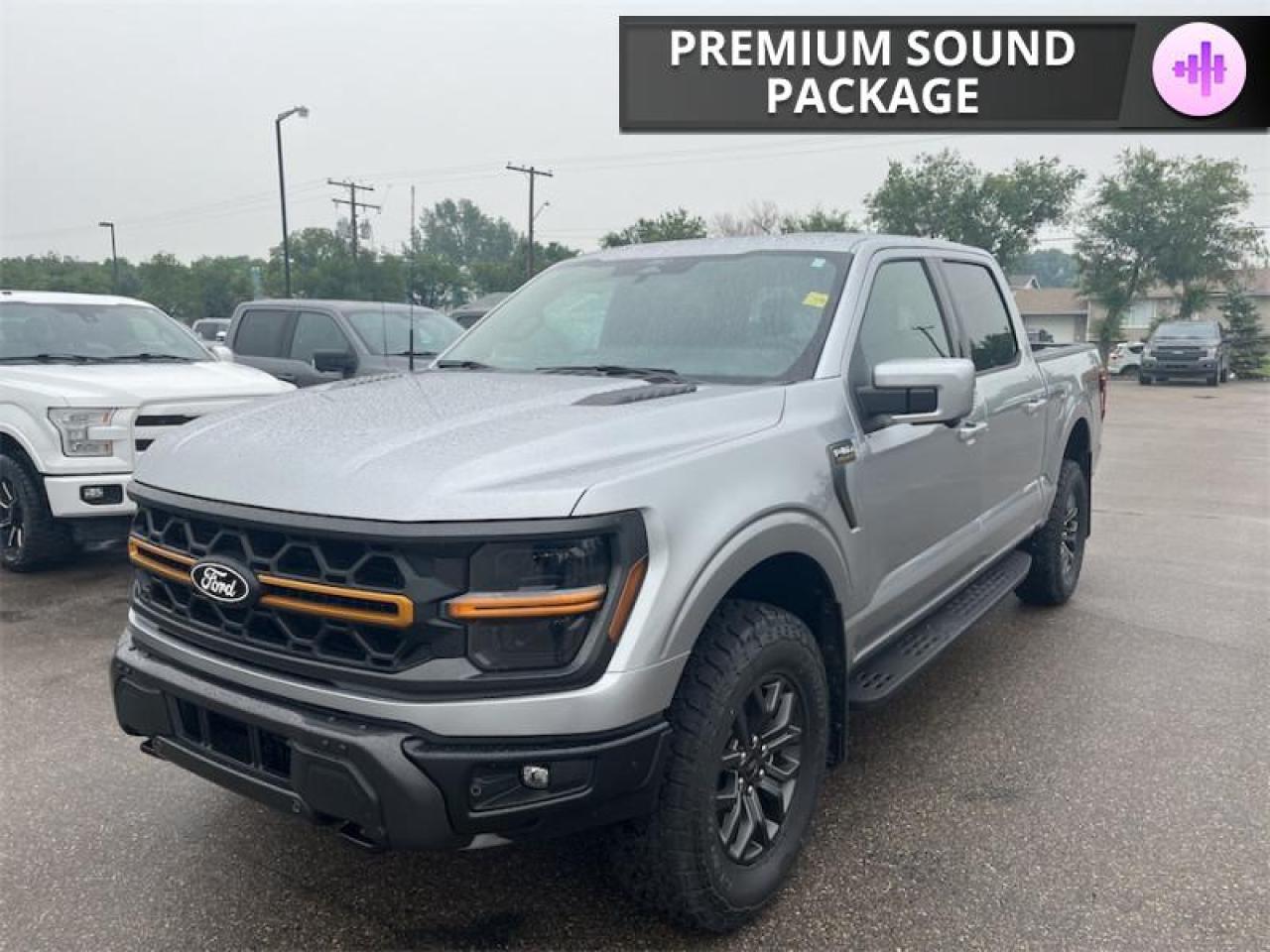 2025 Ford F-150 Tremor  - Leather Seats - Premium Audio Photo5