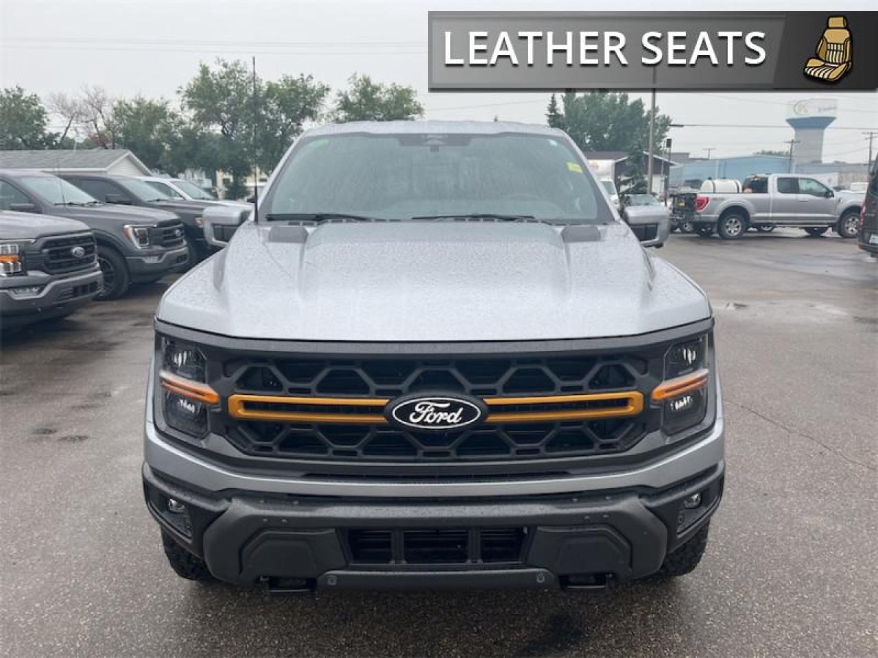 2025 Ford F-150 Tremor  - Leather Seats - Premium Audio Photo3