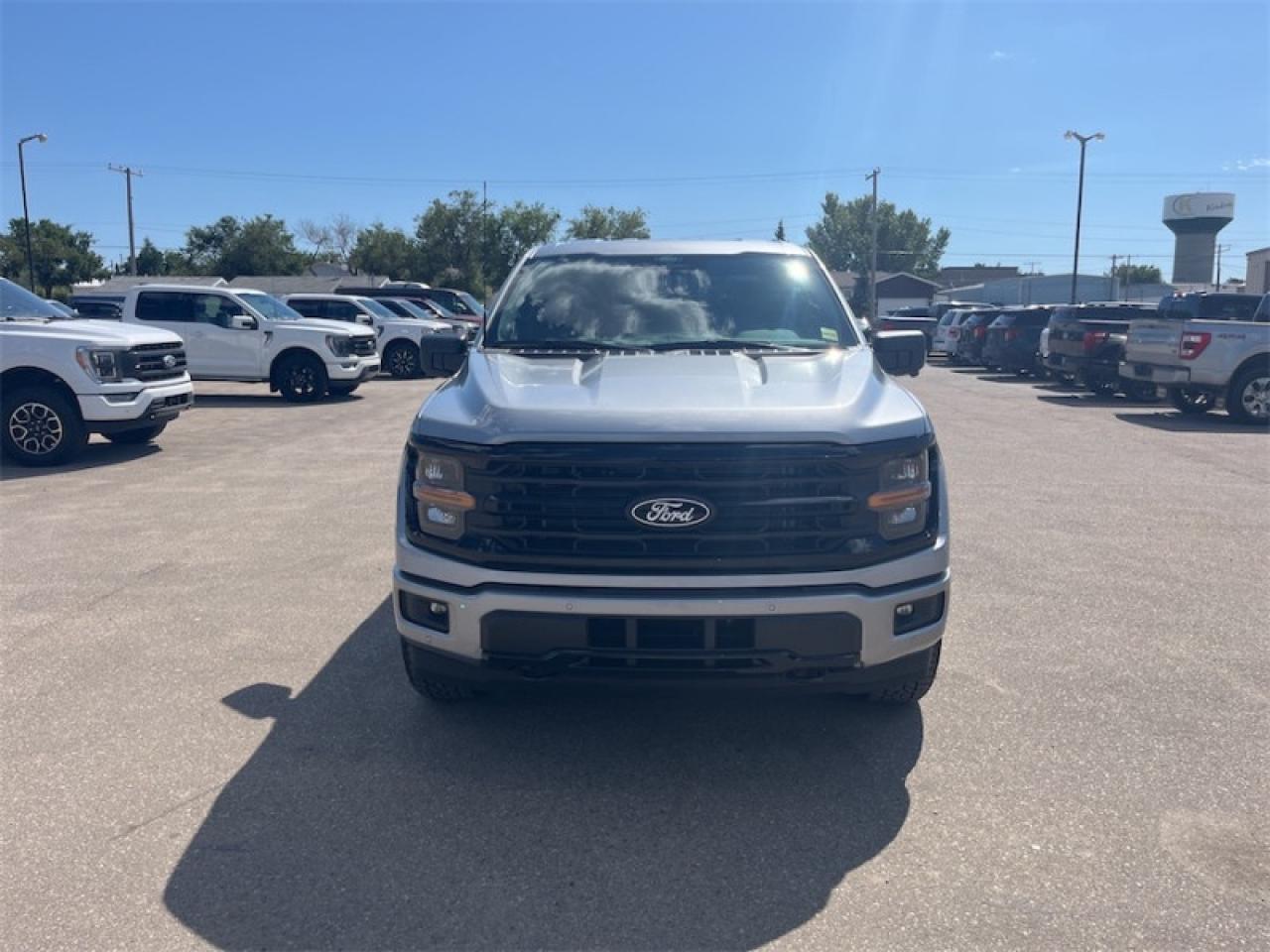 2025 Ford F-150 XLT  - 18" Wheels Photo