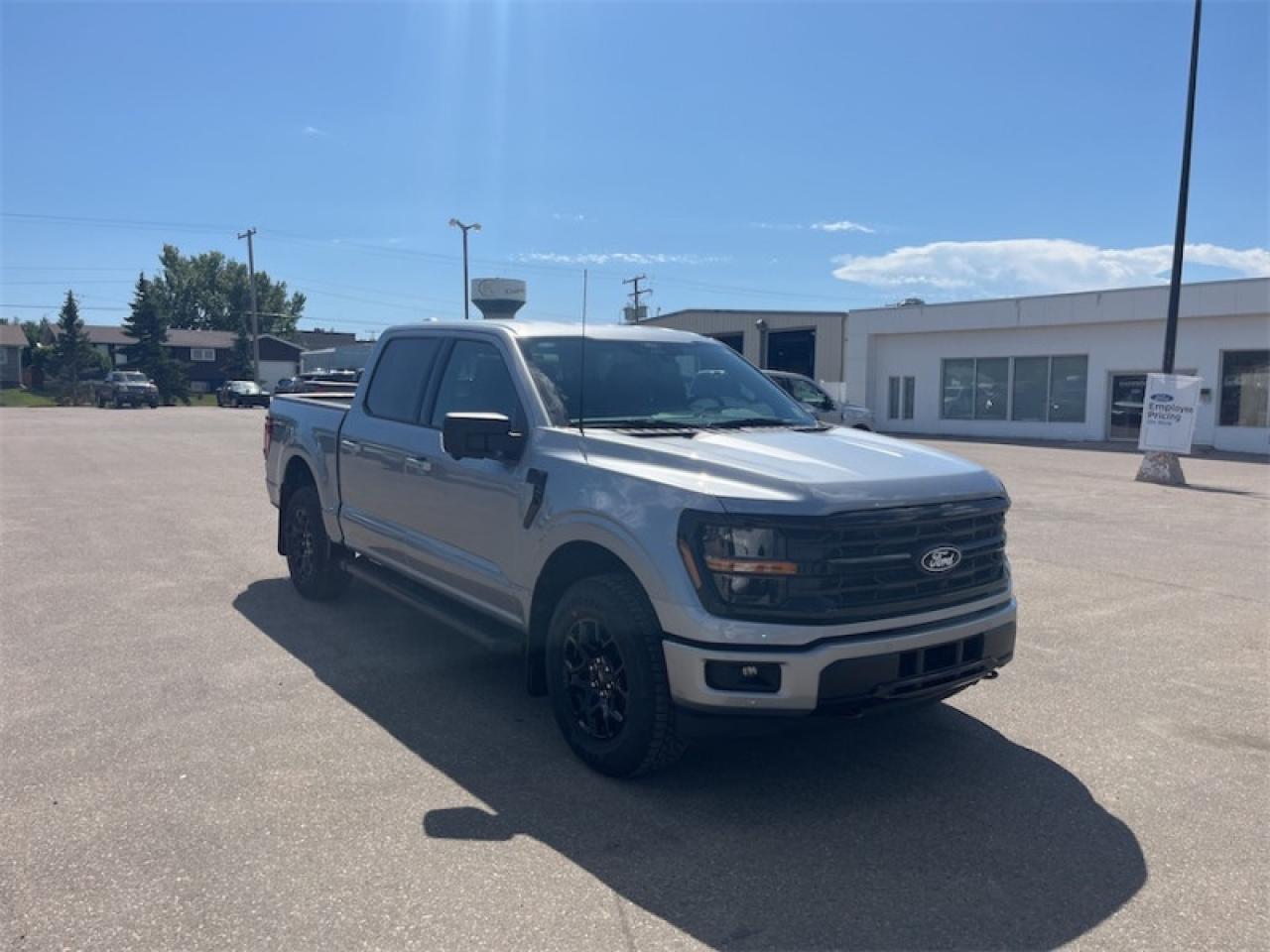 2025 Ford F-150 XLT  - 18" Wheels Photo5