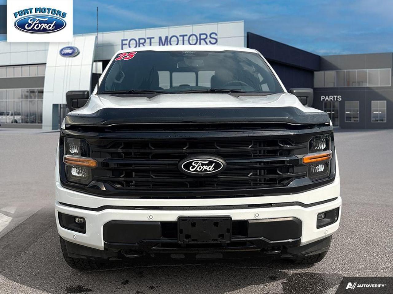 2025 Ford F-150 XLT Photo