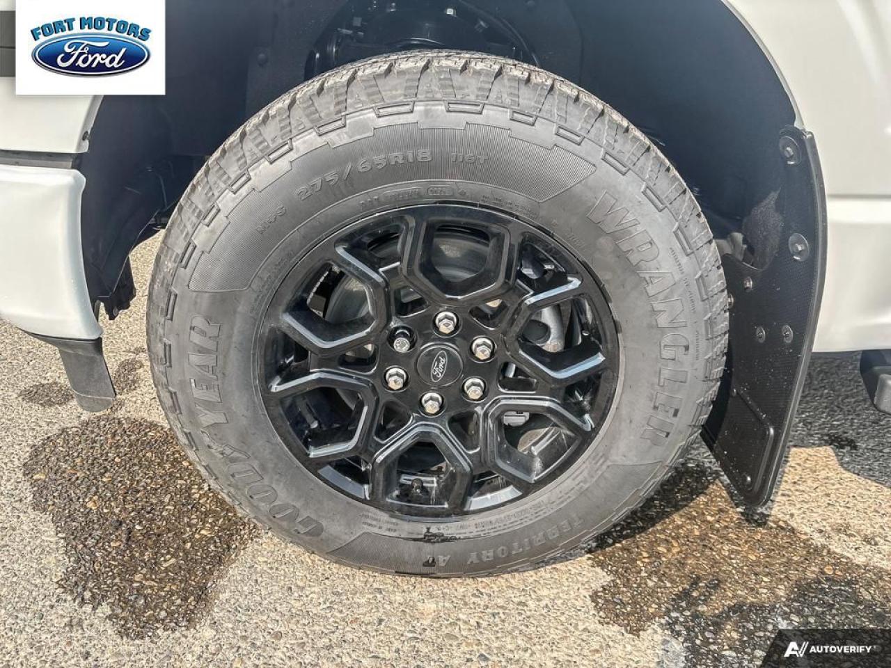 2025 Ford F-150 XLT Photo5