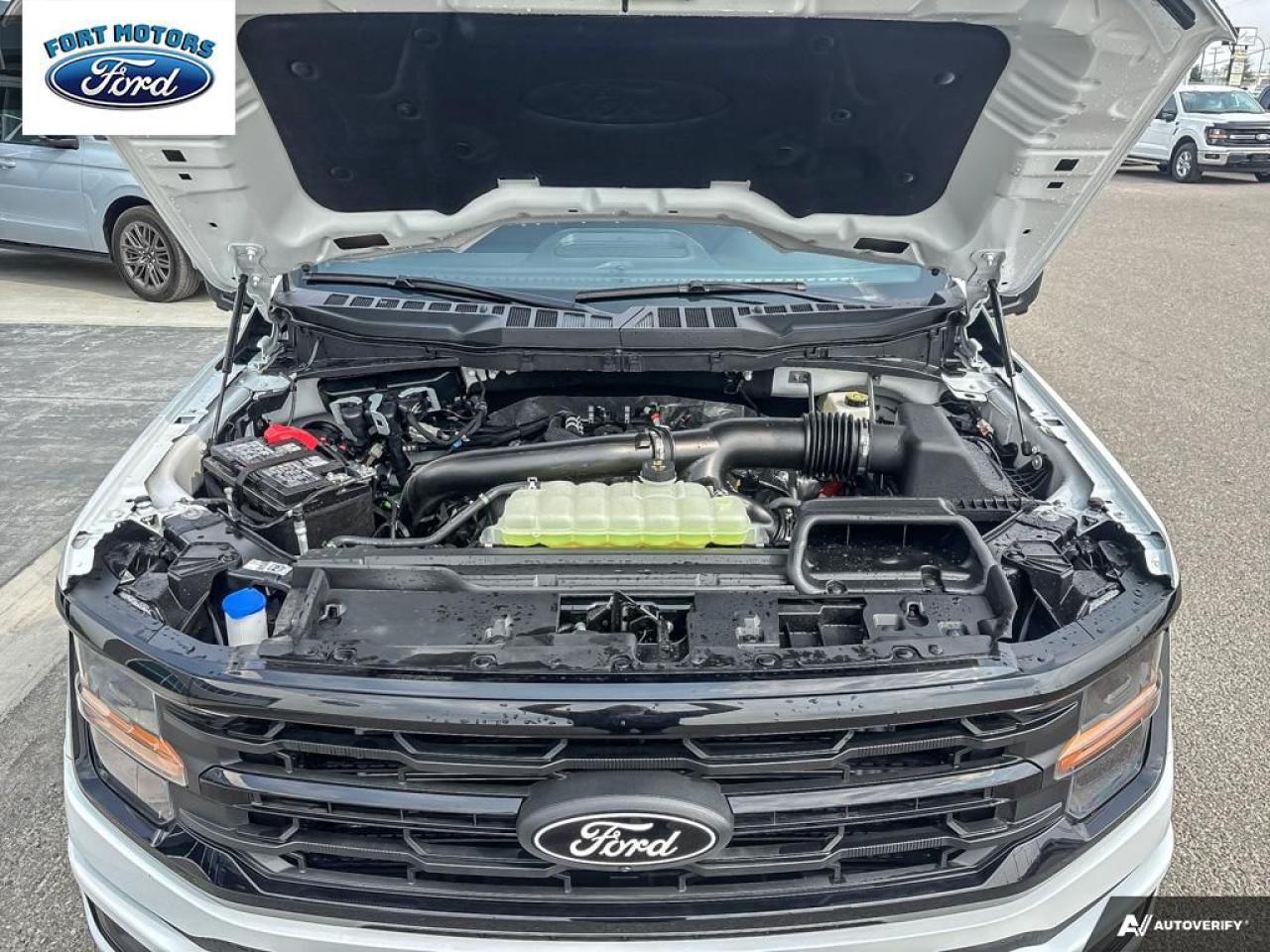 2025 Ford F-150 XLT Photo5