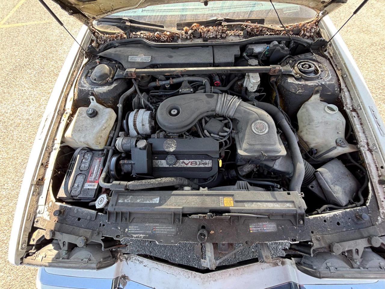 12523690