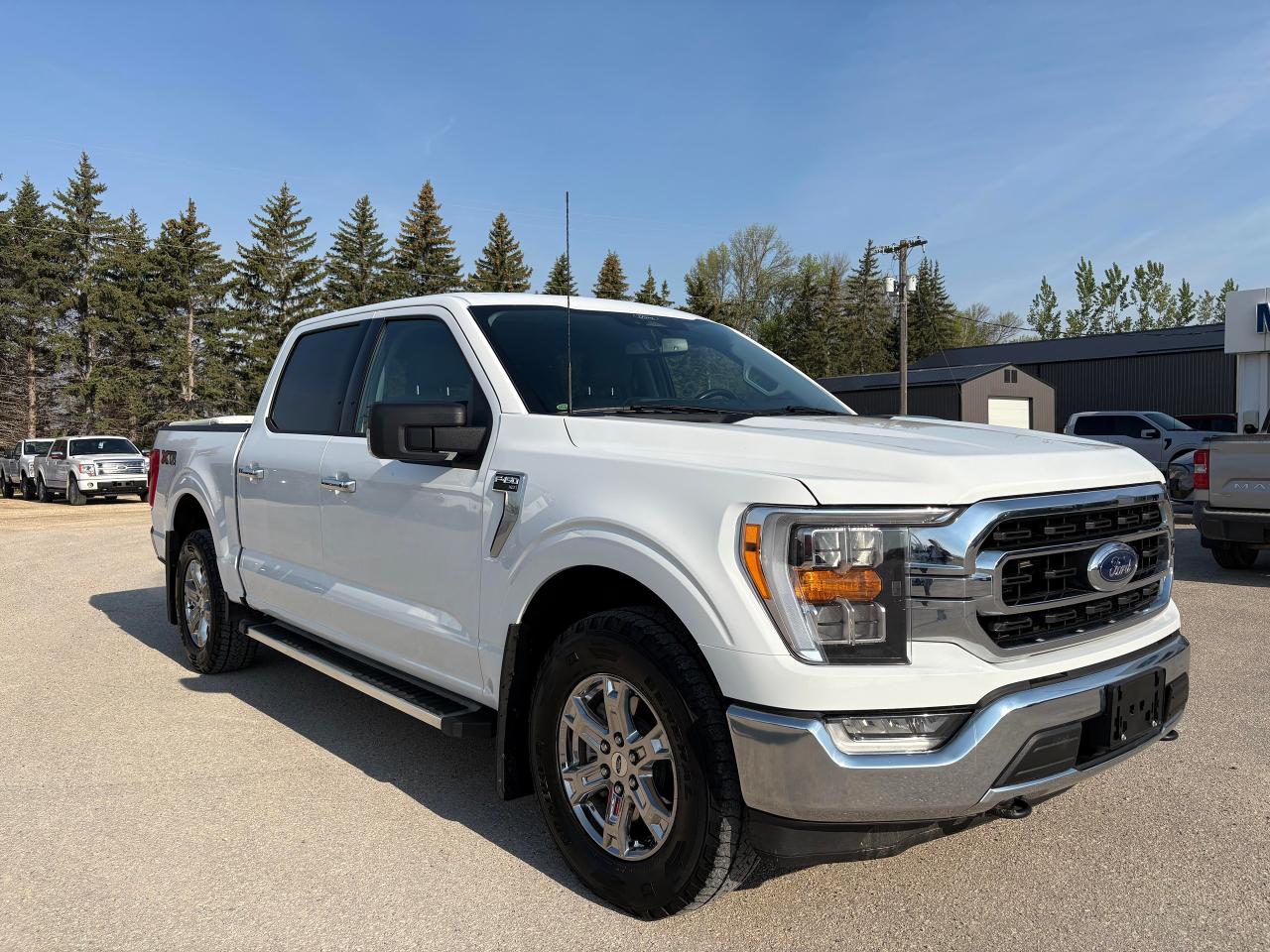 2022 Ford F-150 XLT 302A Photo3