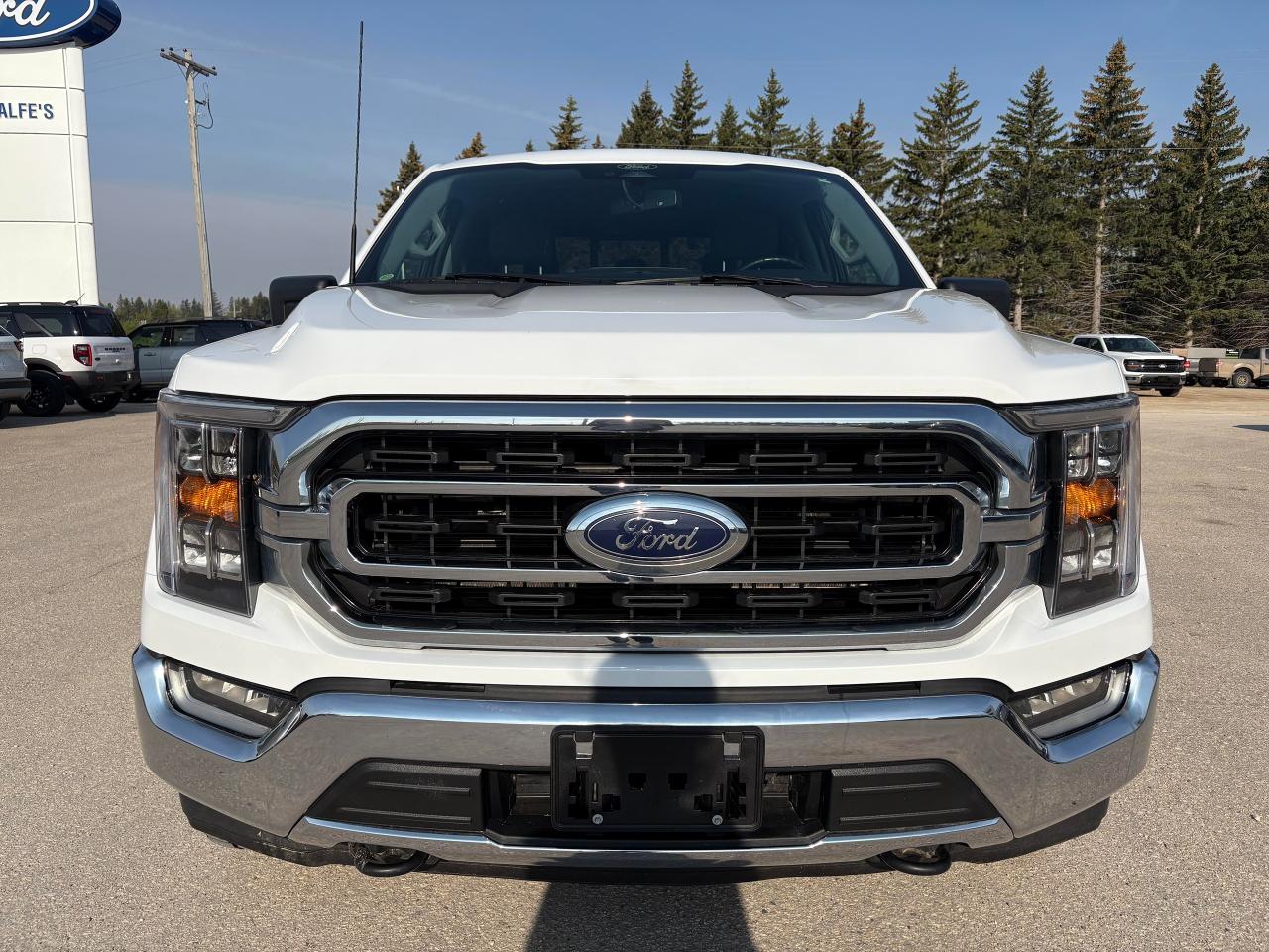 2022 Ford F-150 XLT 302A Photo2