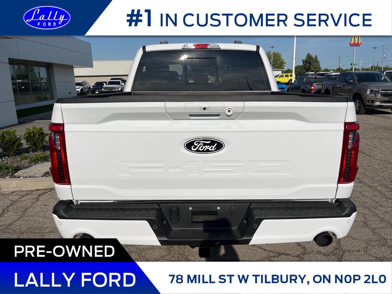 2025 Ford F-150 XLT Photo