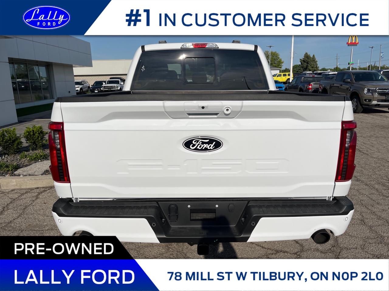 2025 Ford F-150 XLT Photo3