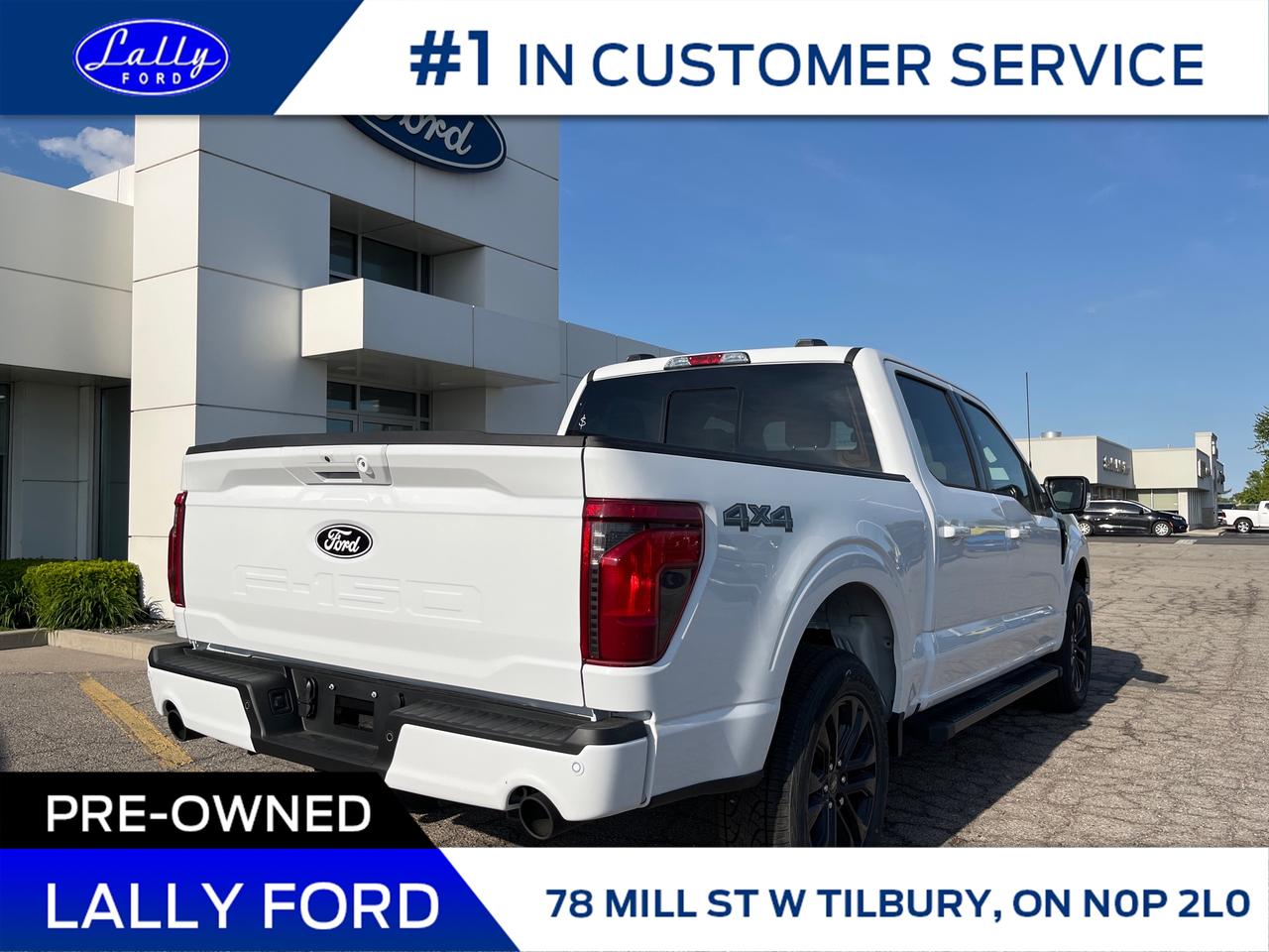 2025 Ford F-150 XLT Photo