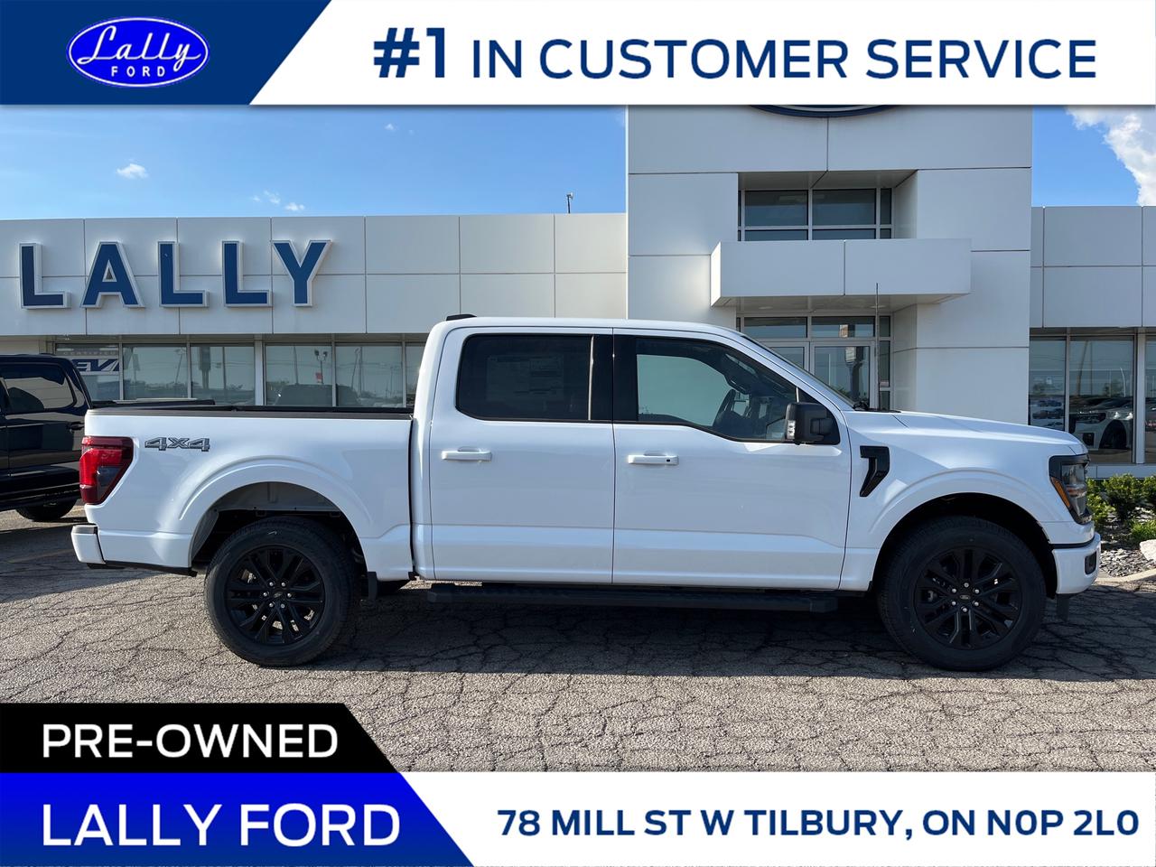 2025 Ford F-150 XLT Photo