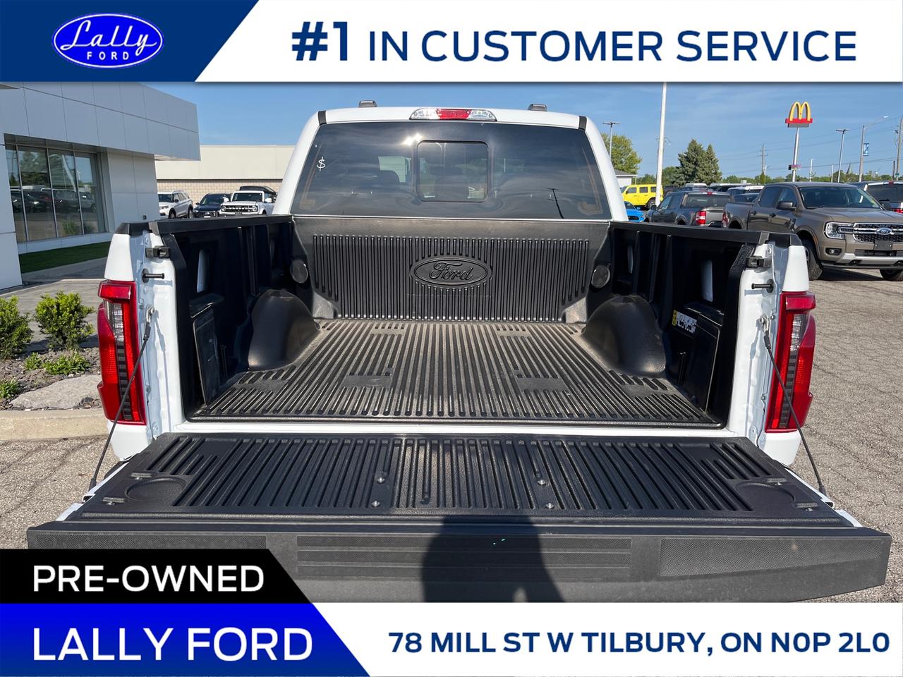 2025 Ford F-150 XLT Photo