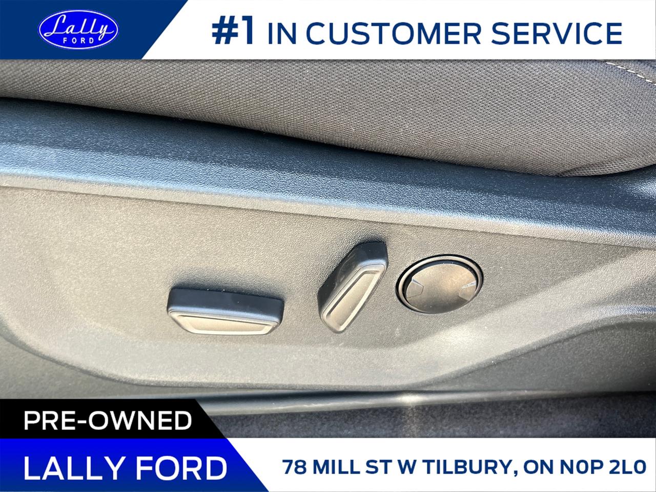 2025 Ford F-150 XLT Photo