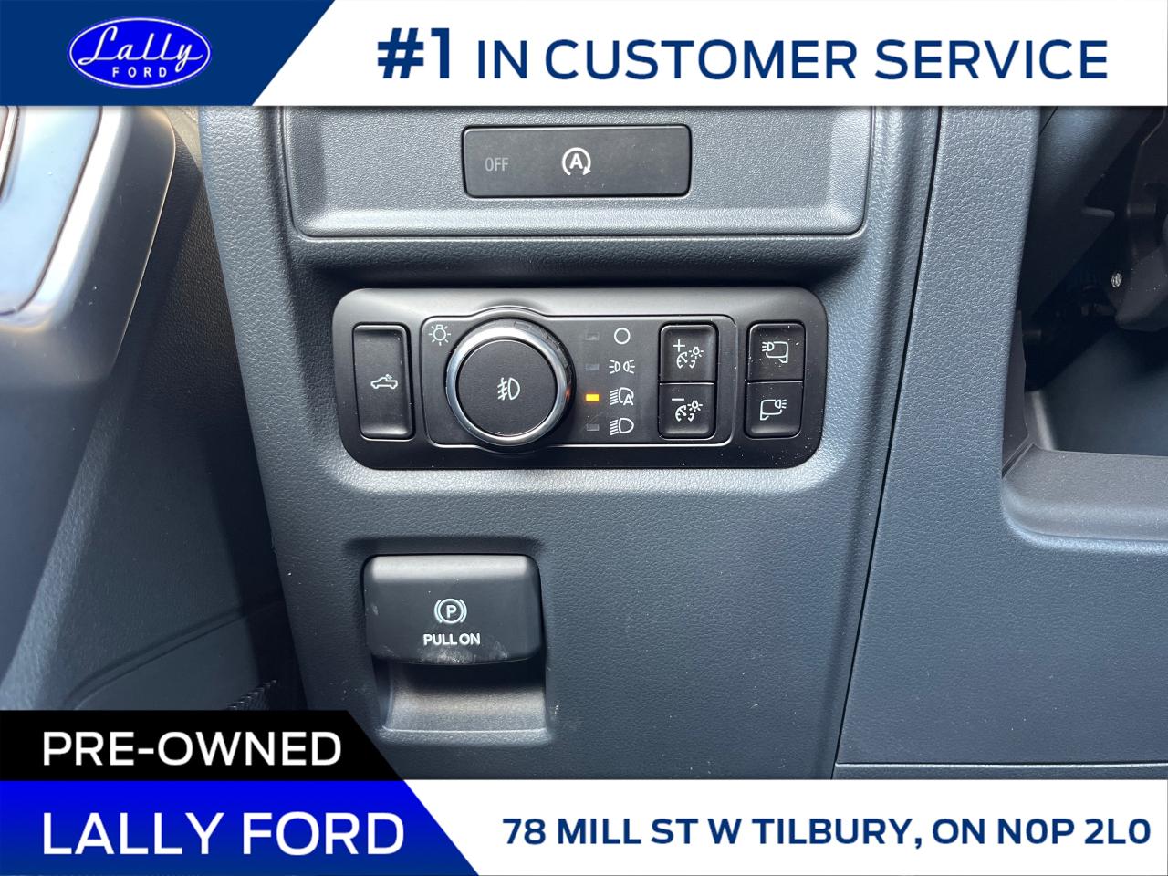 2025 Ford F-150 XLT Photo