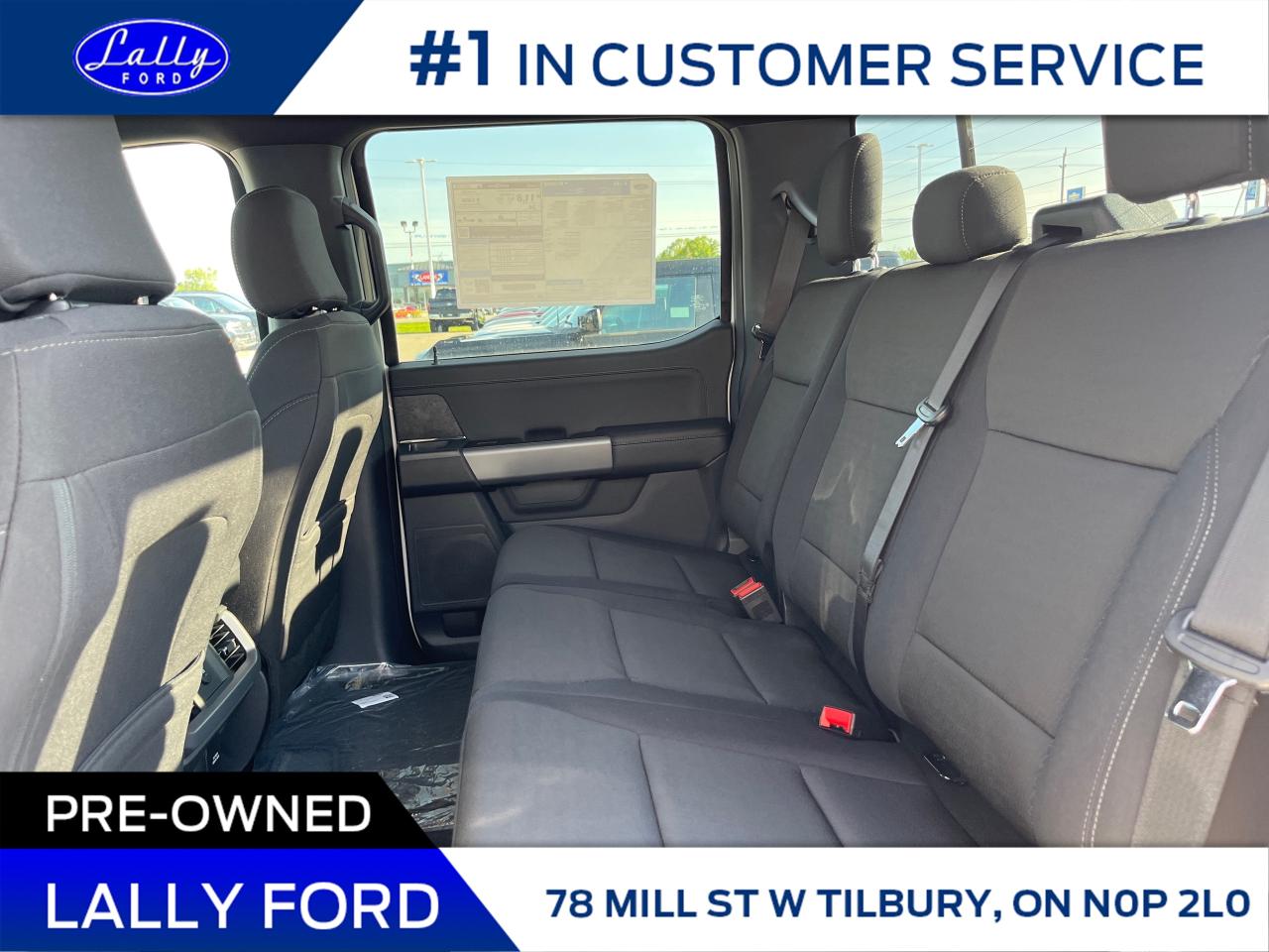 2025 Ford F-150 XLT Photo