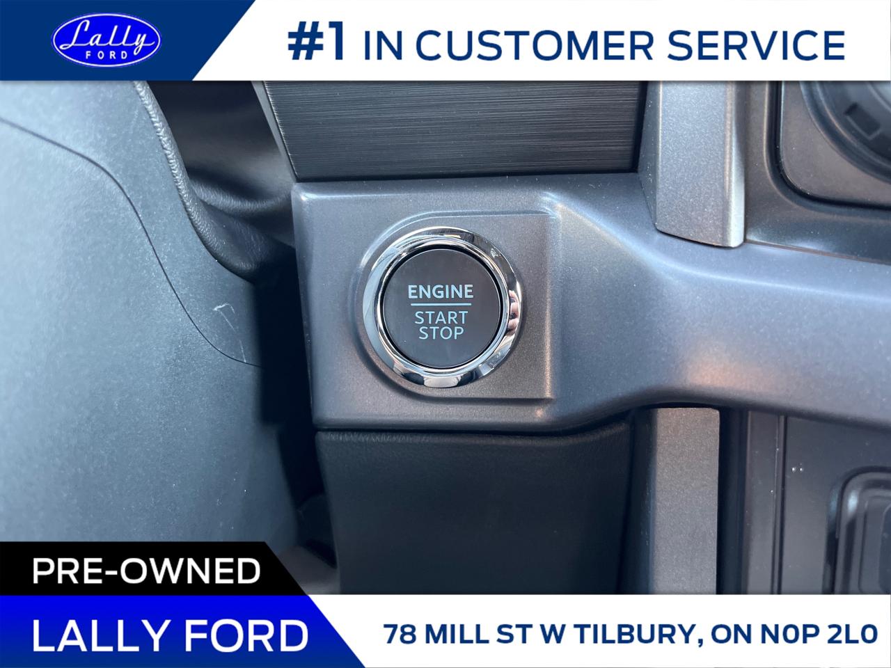 2025 Ford F-150 XLT Photo