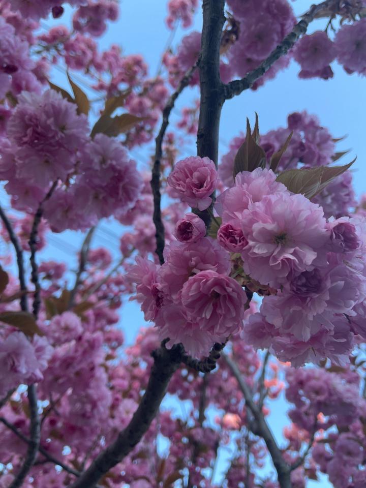 2018 BMW 325  - Photo #1