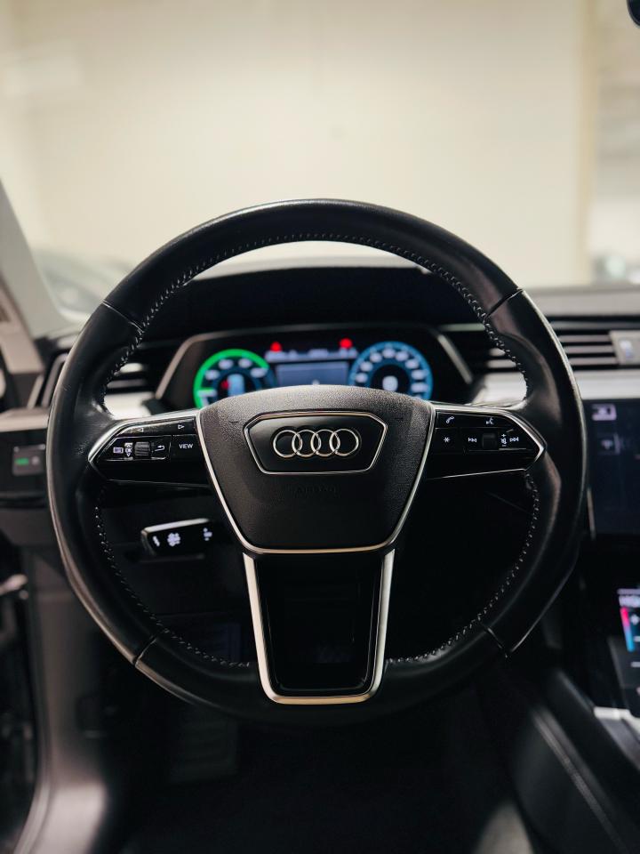 2019 Audi E-Tron Progressiv - Photo #11