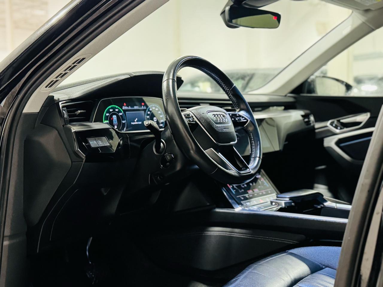 2019 Audi E-Tron Progressiv - Photo #9