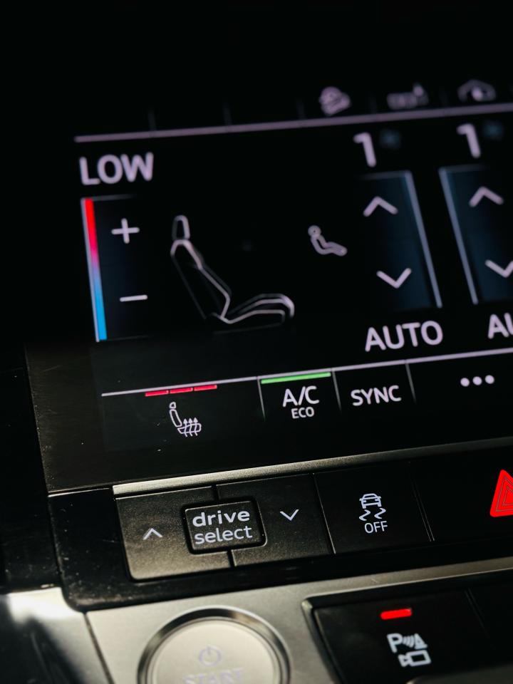 2019 Audi E-Tron Progressiv - Photo #17