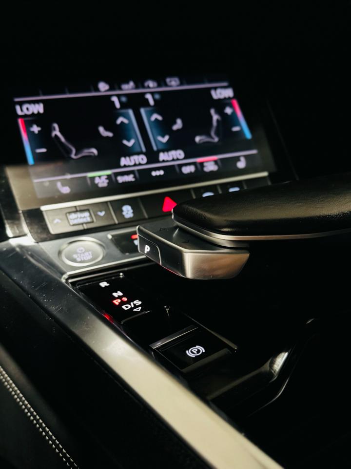 2019 Audi E-Tron Progressiv - Photo #14