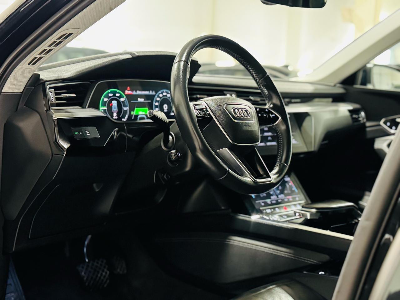 2019 Audi E-Tron Progressiv - Photo #9