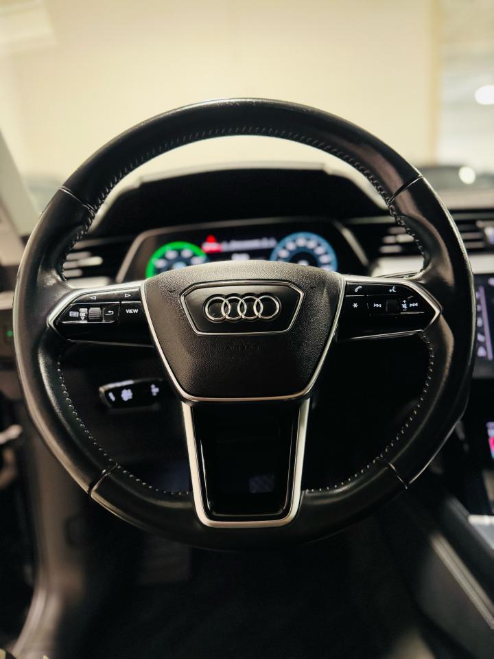 2019 Audi E-Tron Progressiv - Photo #11