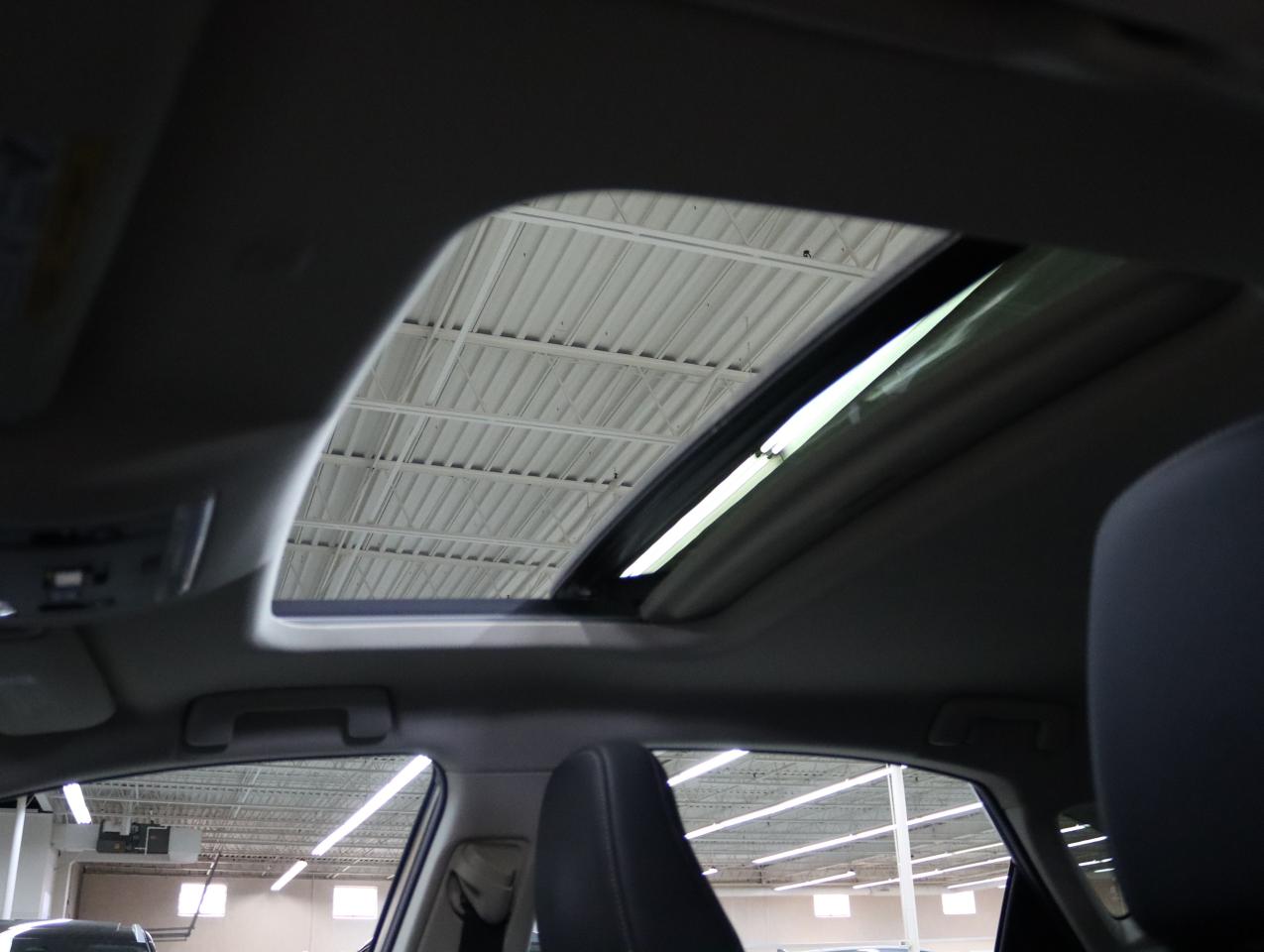 2021 Lexus NX AWD | Nav | Leather | Sunroof | ACC | CarPlay