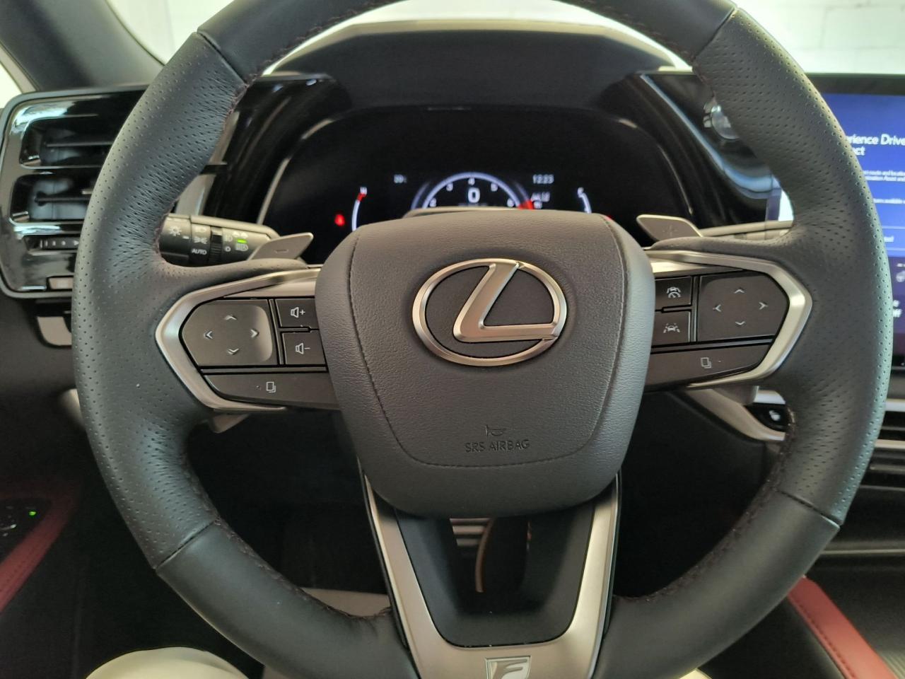 2024 Lexus RX RX 350 AWD F-Sport Photo