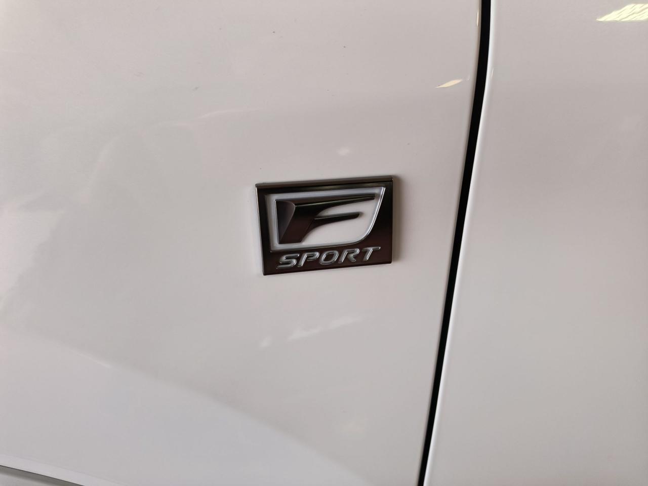 2024 Lexus RX RX 350 AWD F-Sport Photo