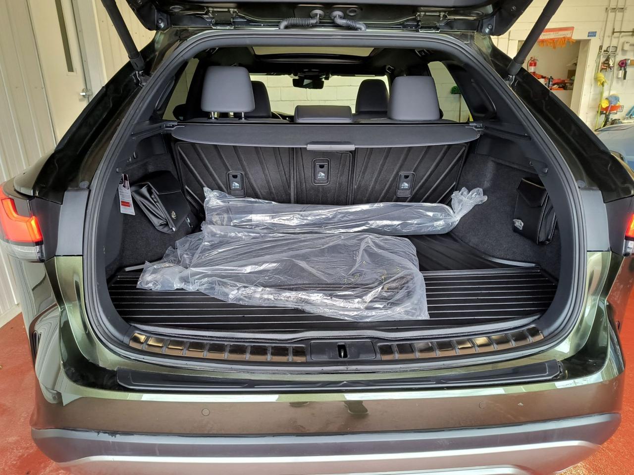 2024 Lexus RX RX 350h AWD Photo