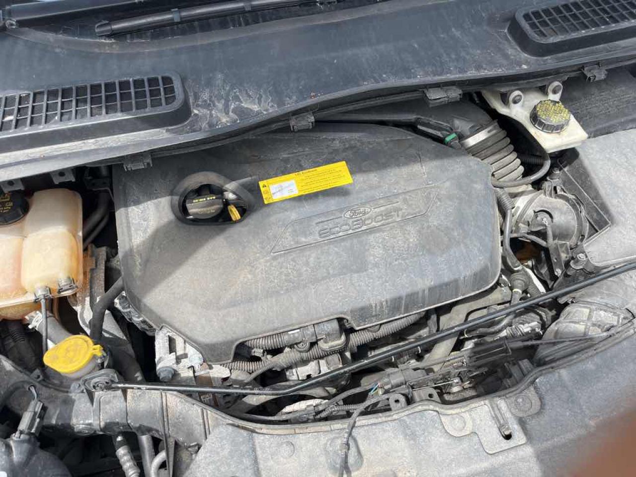 2015 Ford Escape SE - Photo #7