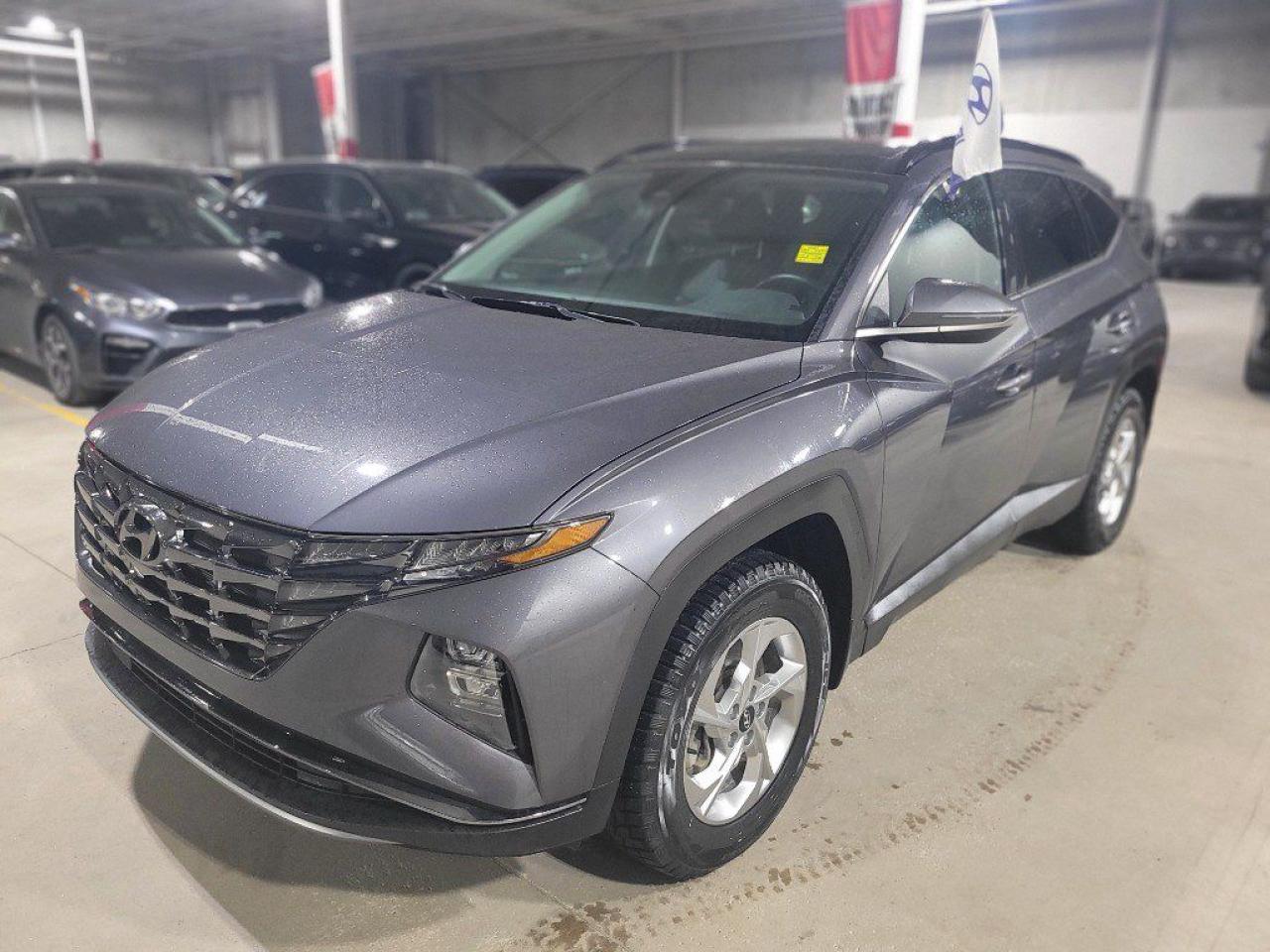 Used 2024 Hyundai Tucson TREND AWD for sale in Nepean, ON