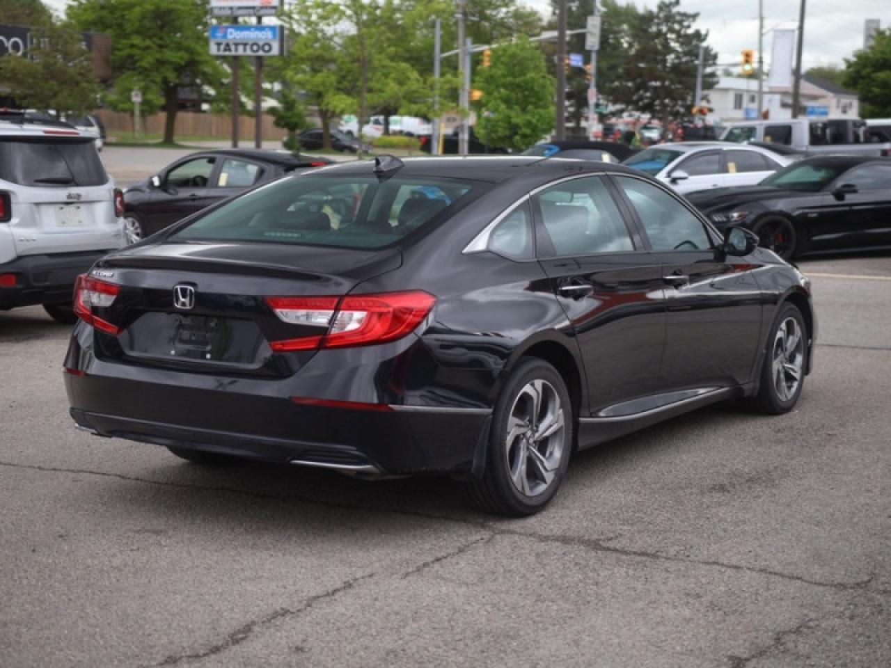 2019 Honda Accord Sedan EX-L CVT  **LOW MILEAGE - SUNROOF** Photo3