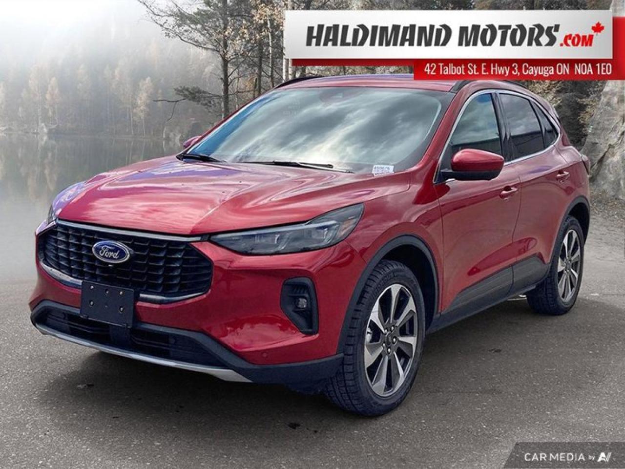 Used 2024 Ford Escape Platinum for sale in Cayuga, ON