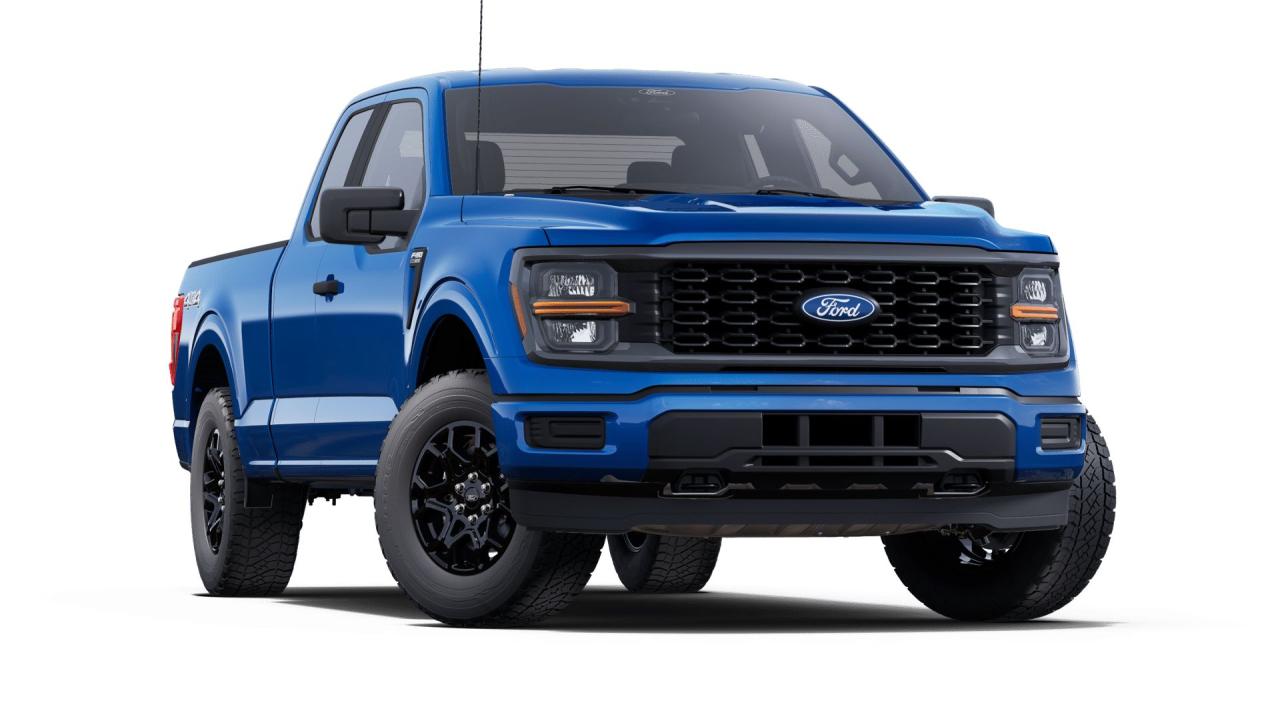 2025 Ford F-150 STX® Photo