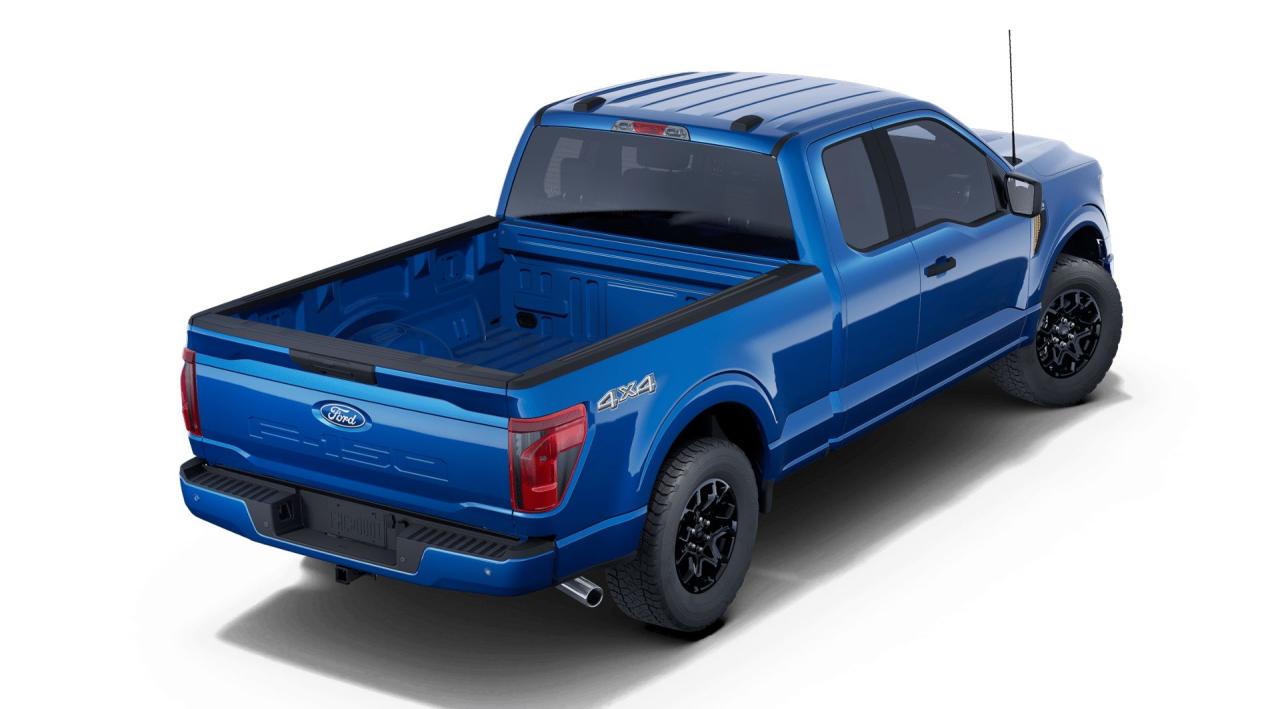 2025 Ford F-150 STX® Photo2