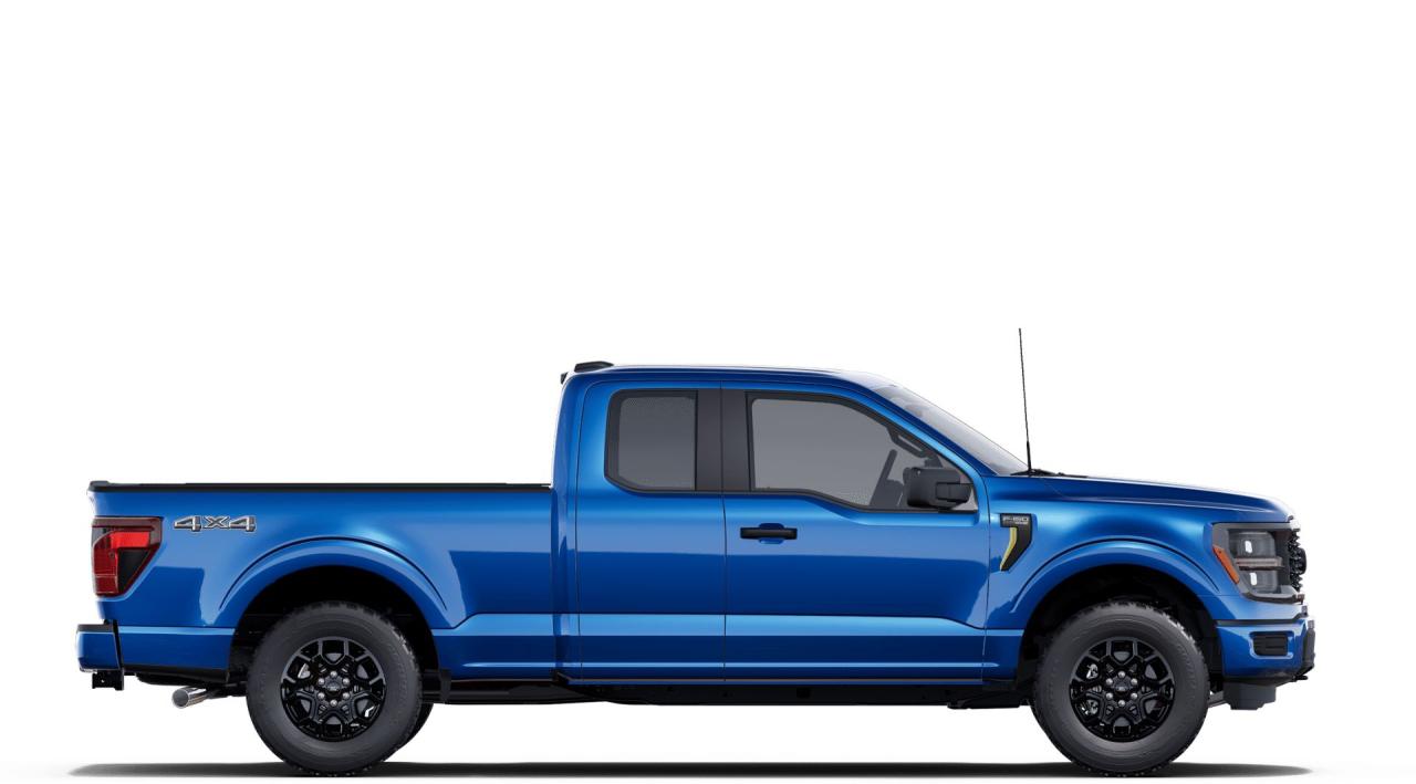 2025 Ford F-150 STX® Photo4