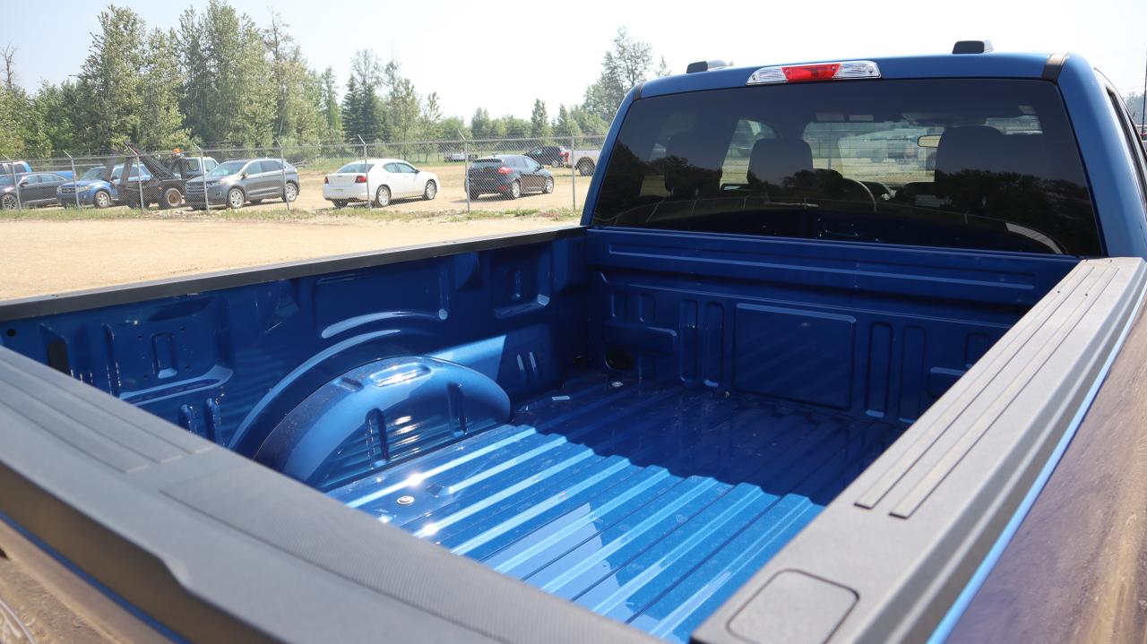 2025 Ford F-150 STX Photo5