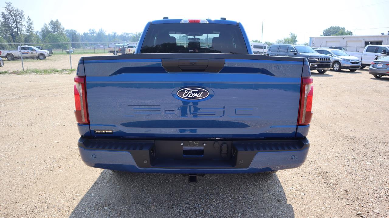 2025 Ford F-150 STX Photo4