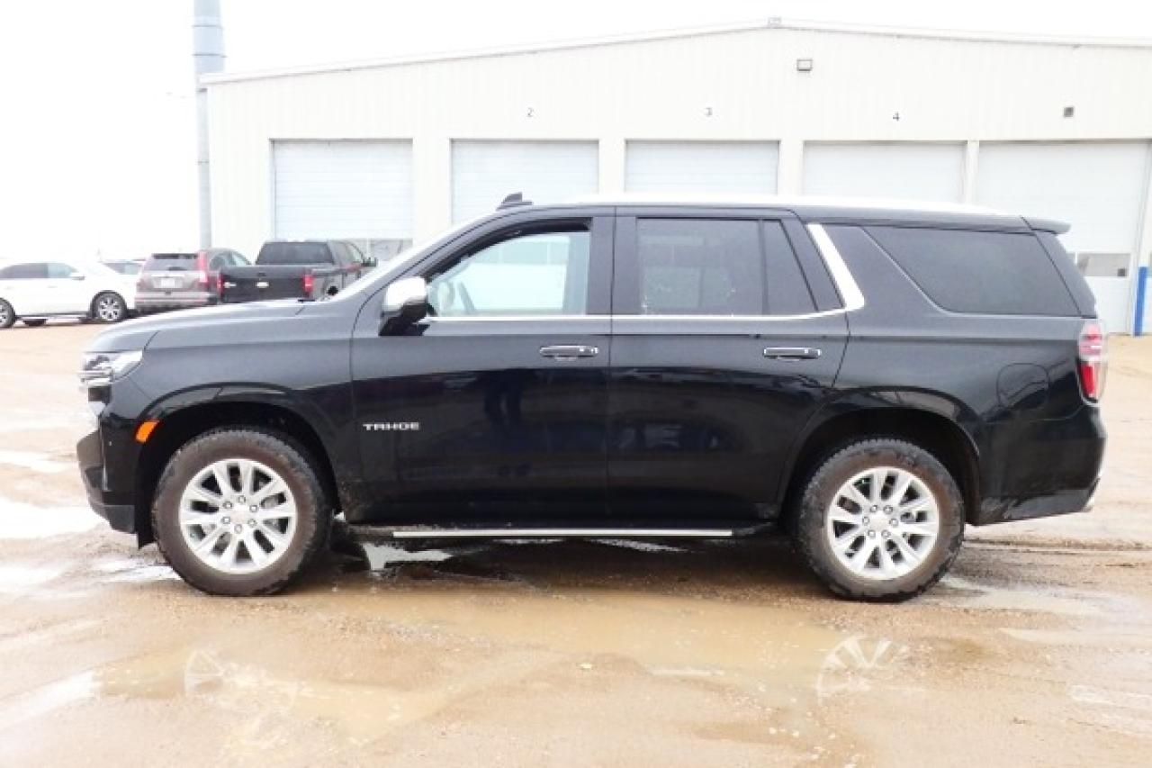 2024 Chevrolet Tahoe Premier 4WD w/H&C L, NAV, BUC - Photo #1