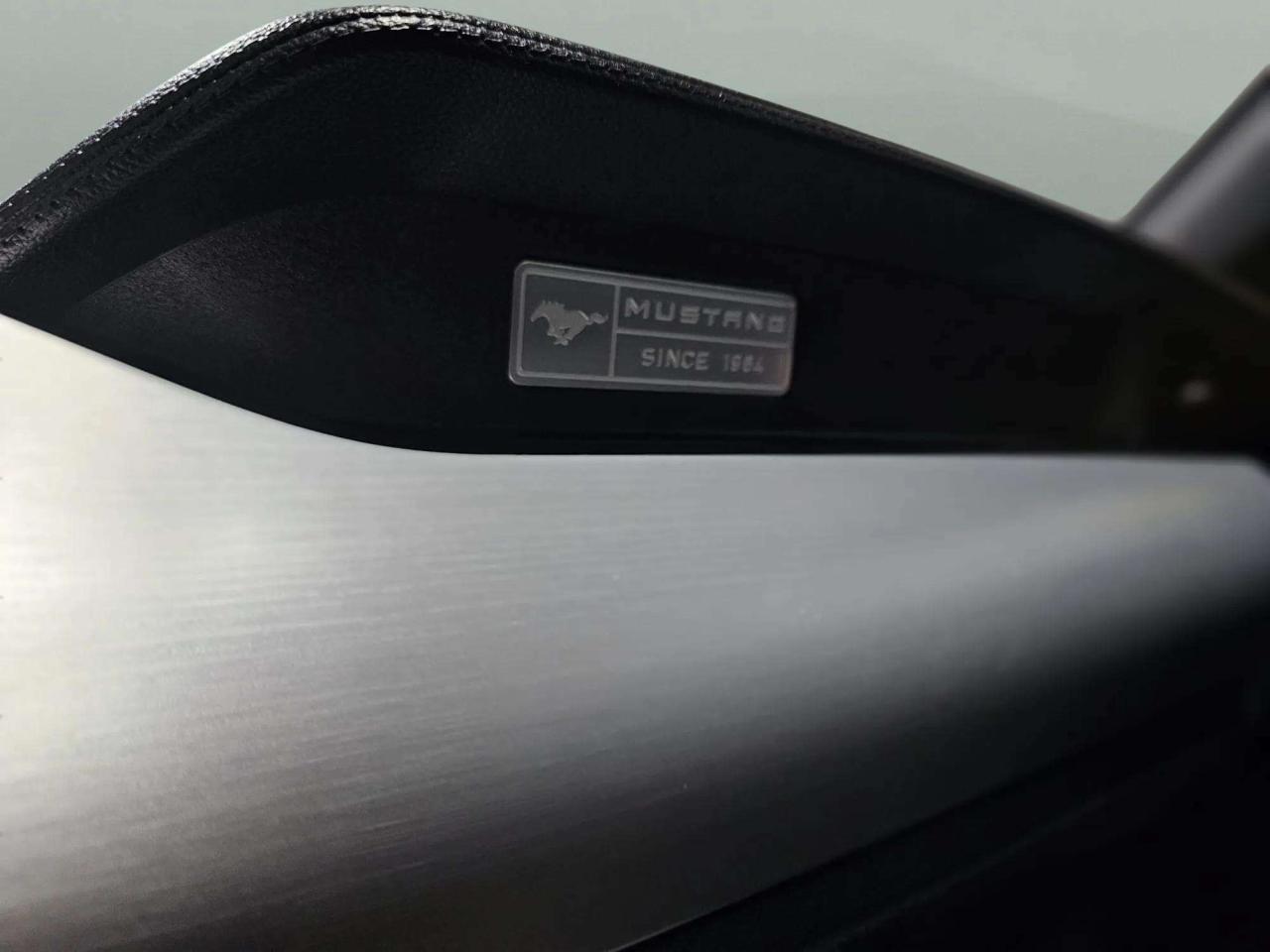 2015 Ford Mustang GT Premium - Photo #15