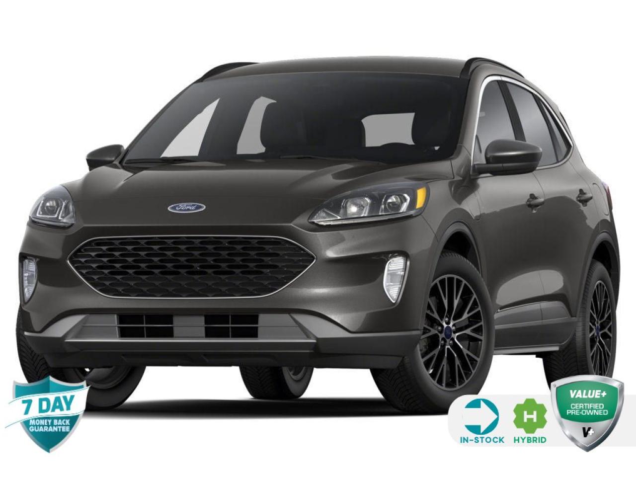 Used 2022 Ford Escape PHEV Titanium 650A for sale in Oakville, ON