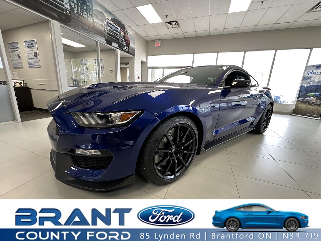 Used 2016 Ford Mustang Shelby GT350 for sale in Brantford, ON
