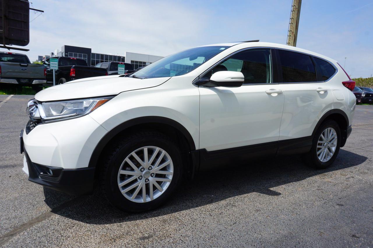 2017 Honda CR-V EX AWD CERTIFIED *SERVICE RECORDS* CAMERA BLUETOOTH HEATED SEATS SUNROOF CRUISE ALLOYS - Photo #3