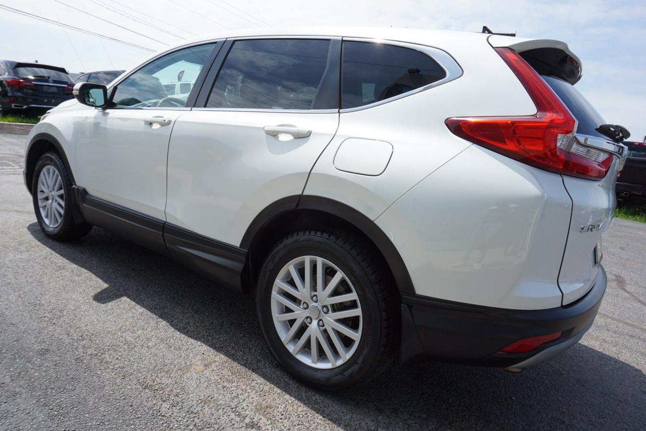 2017 Honda CR-V EX AWD CERTIFIED *SERVICE RECORDS* CAMERA BLUETOOTH HEATED SEATS SUNROOF CRUISE ALLOYS - Photo #4