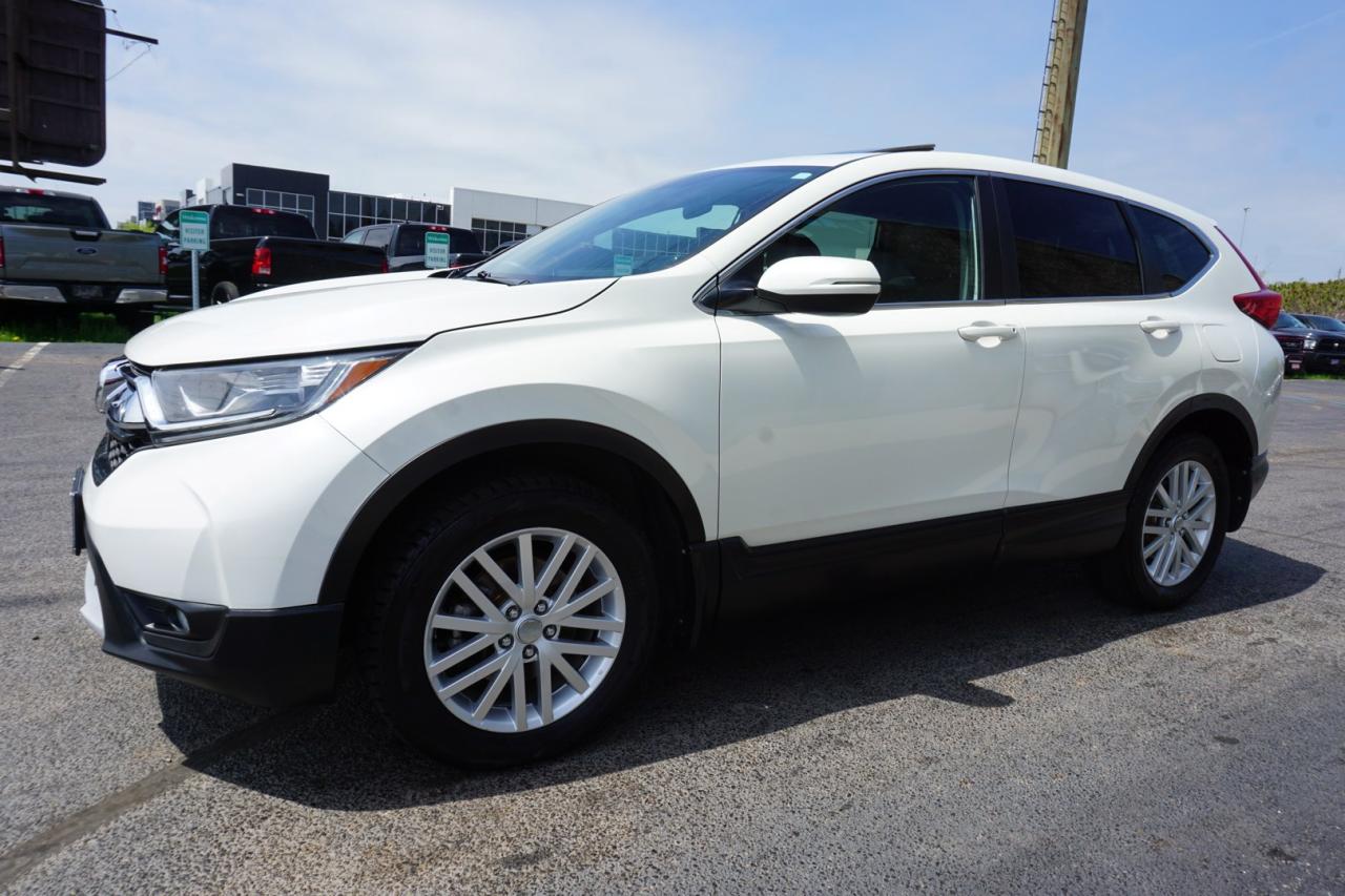 2017 Honda CR-V EX AWD CERTIFIED *SERVICE RECORDS* CAMERA BLUETOOTH HEATED SEATS SUNROOF CRUISE ALLOYS - Photo #3
