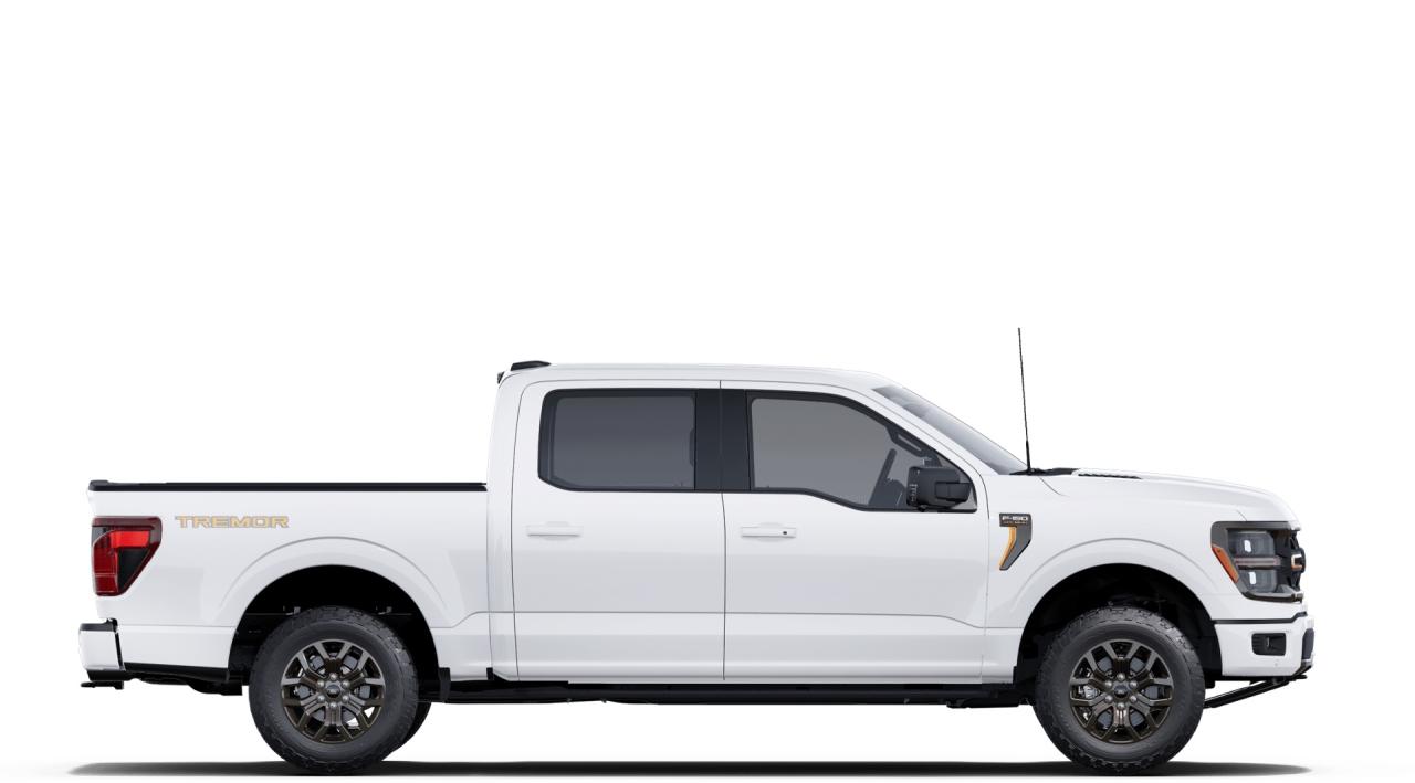2025 Ford F-150 4x4 Supercrew-145 Photo4