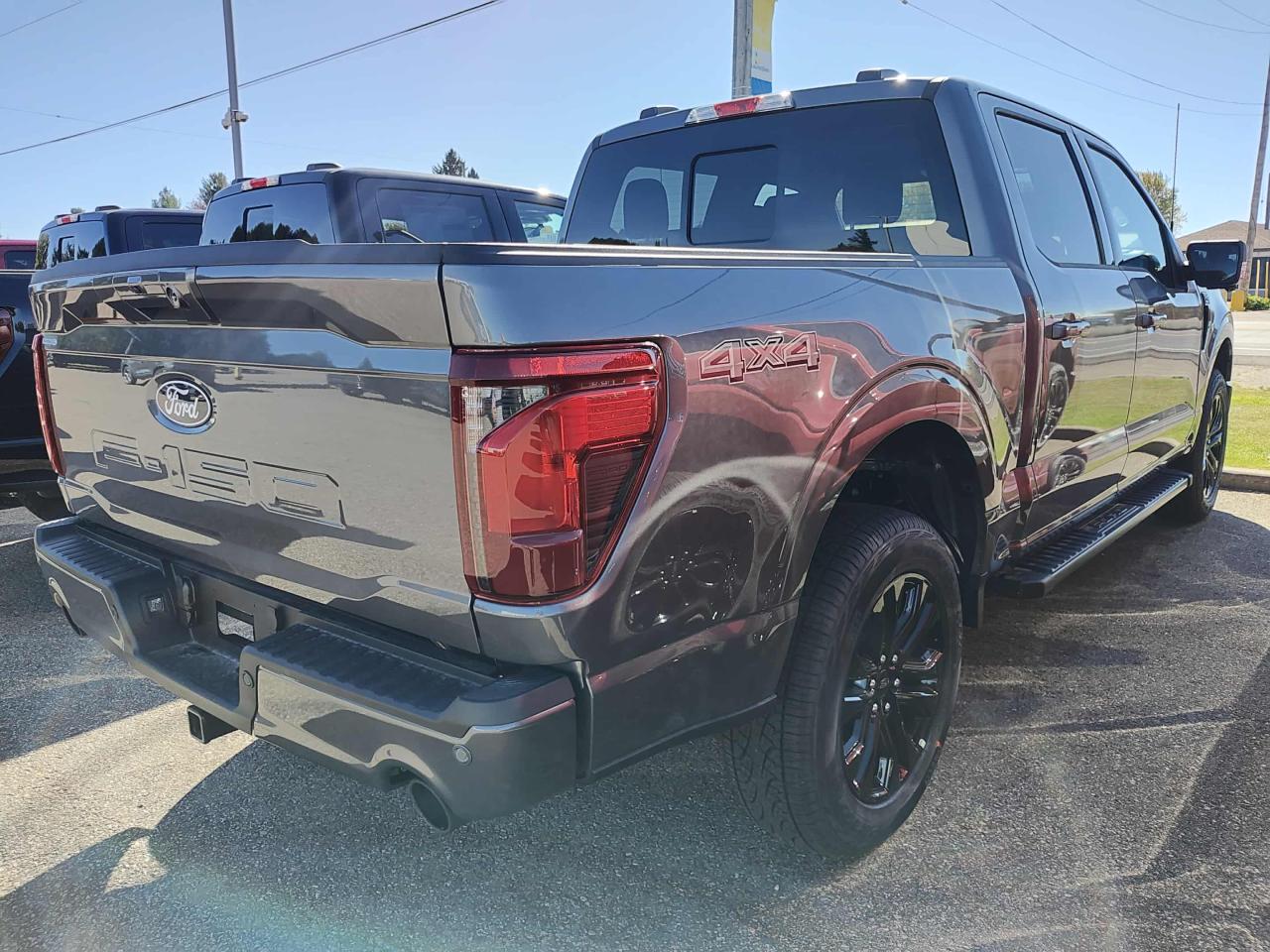 2025 Ford F-150 4x4 Supercrew-145 Photo