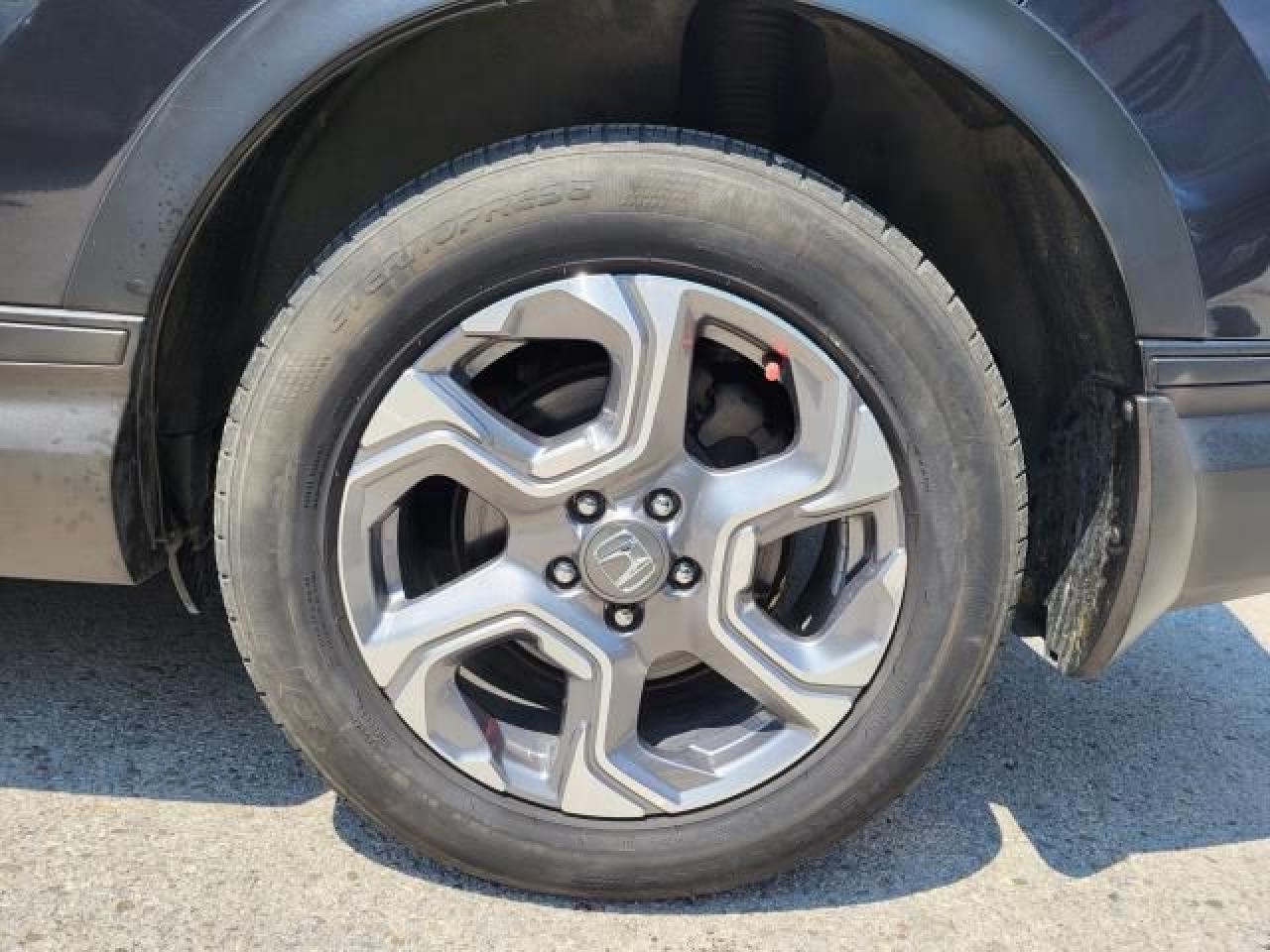 12532054