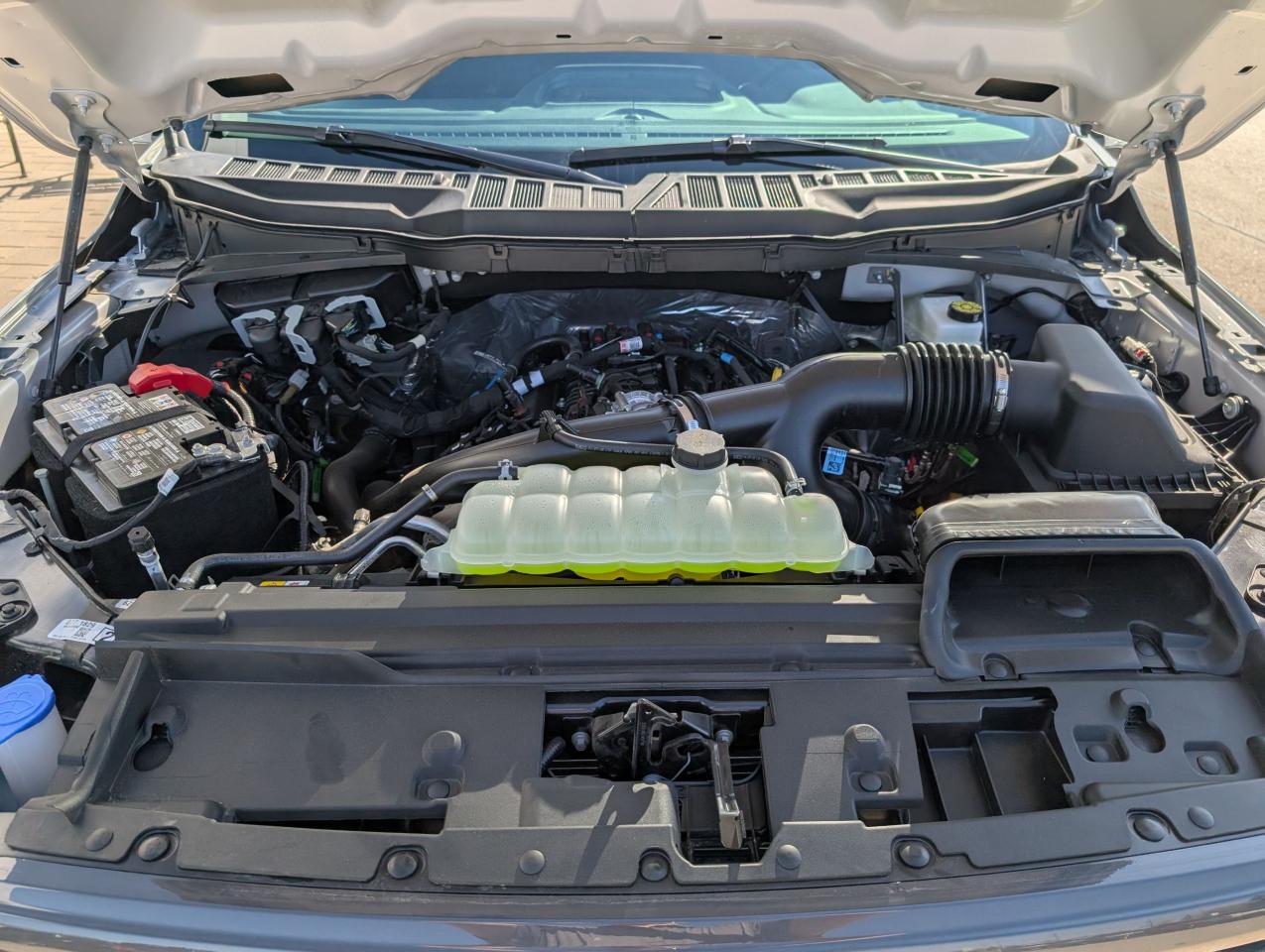 2025 Ford F-150 STX Photo5